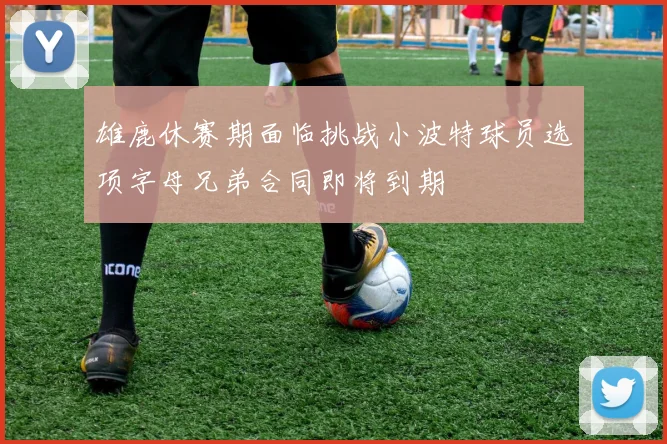 雄鹿休赛期面临挑战小波特球员选项字母兄弟合同即将到期