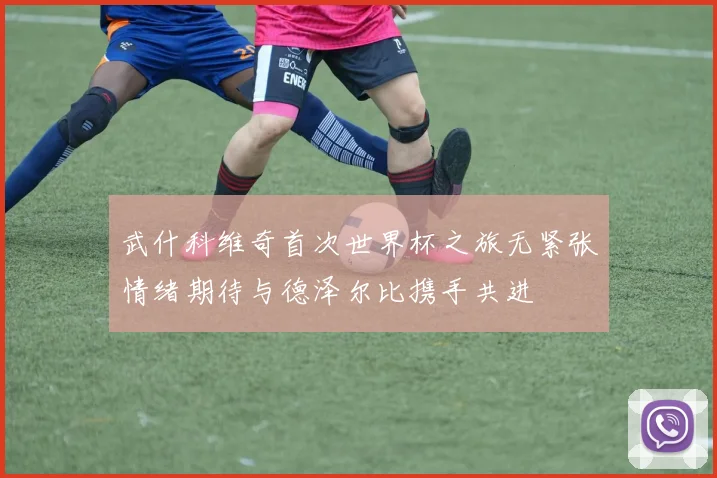 武什科维奇首次世界杯之旅无紧张情绪期待与德泽尔比携手共进