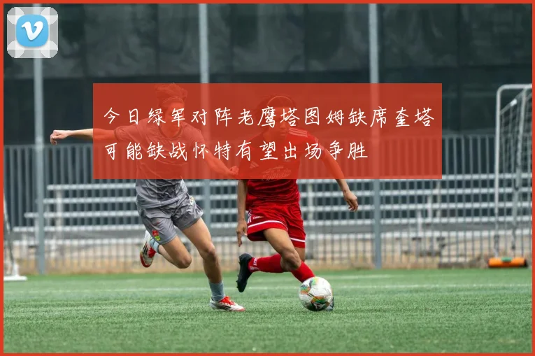 今日绿军对阵老鹰塔图姆缺席奎塔可能缺战怀特有望出场争胜