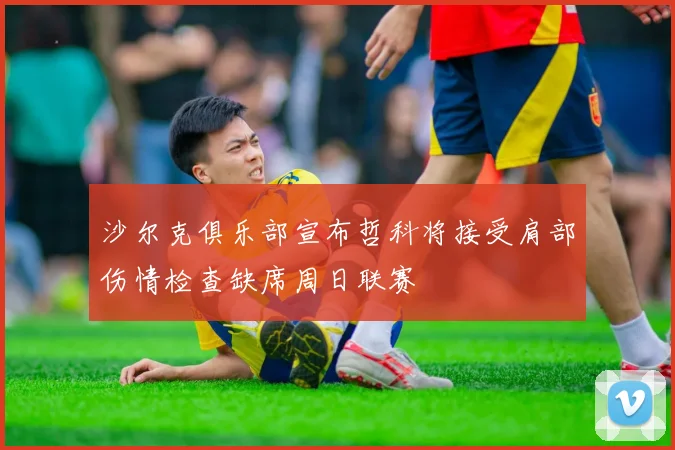沙尔克俱乐部宣布哲科将接受肩部伤情检查缺席周日联赛